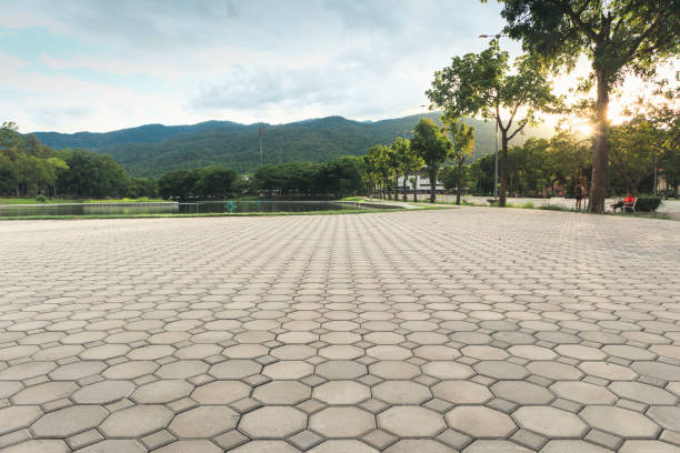 Best Driveway Pavers Near Me  in Westport, NC